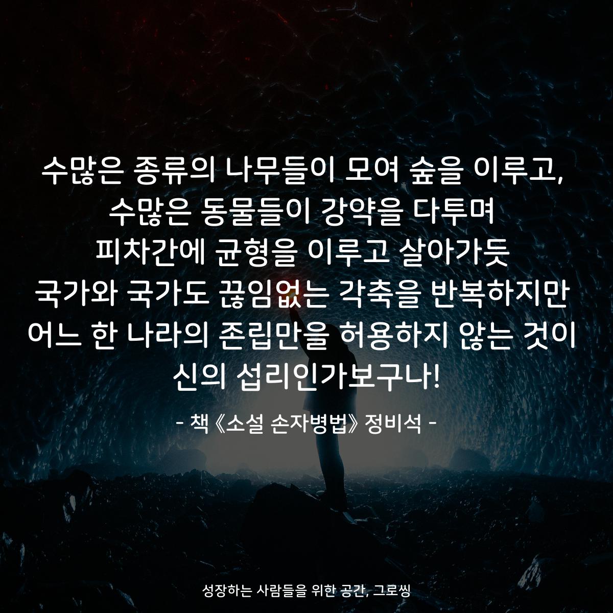 수많은 종류의 나무들이 모여 숲을 이루고, 수많은 동물들이 강약을 다투며 피차간에 균형을 이루고 살아가듯 국가와 국가도 끊임없는 각축을 반복하지만 어느 한 나라의 존립만을 허용하지 않는 것이 신의 섭리인가보구나! - 책 《소설 손자병법》 정비석