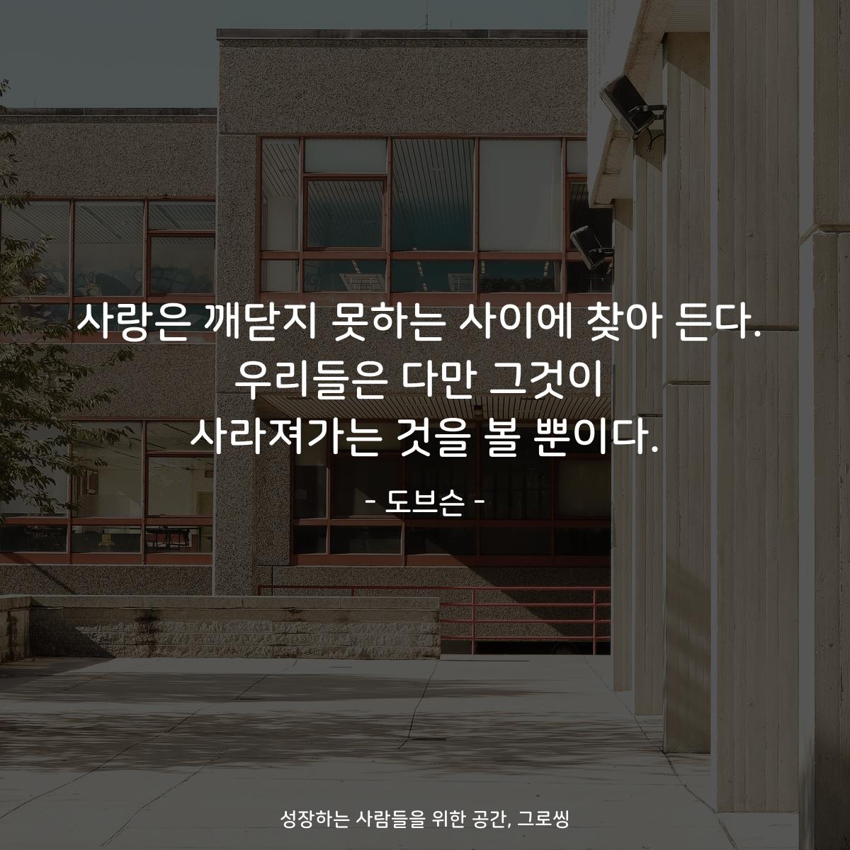 사랑은 깨닫지 못하는 사이에 찾아 든다. 우리들은 다만 그것이 사라져가는 것을 볼 뿐이다. - 도브슨