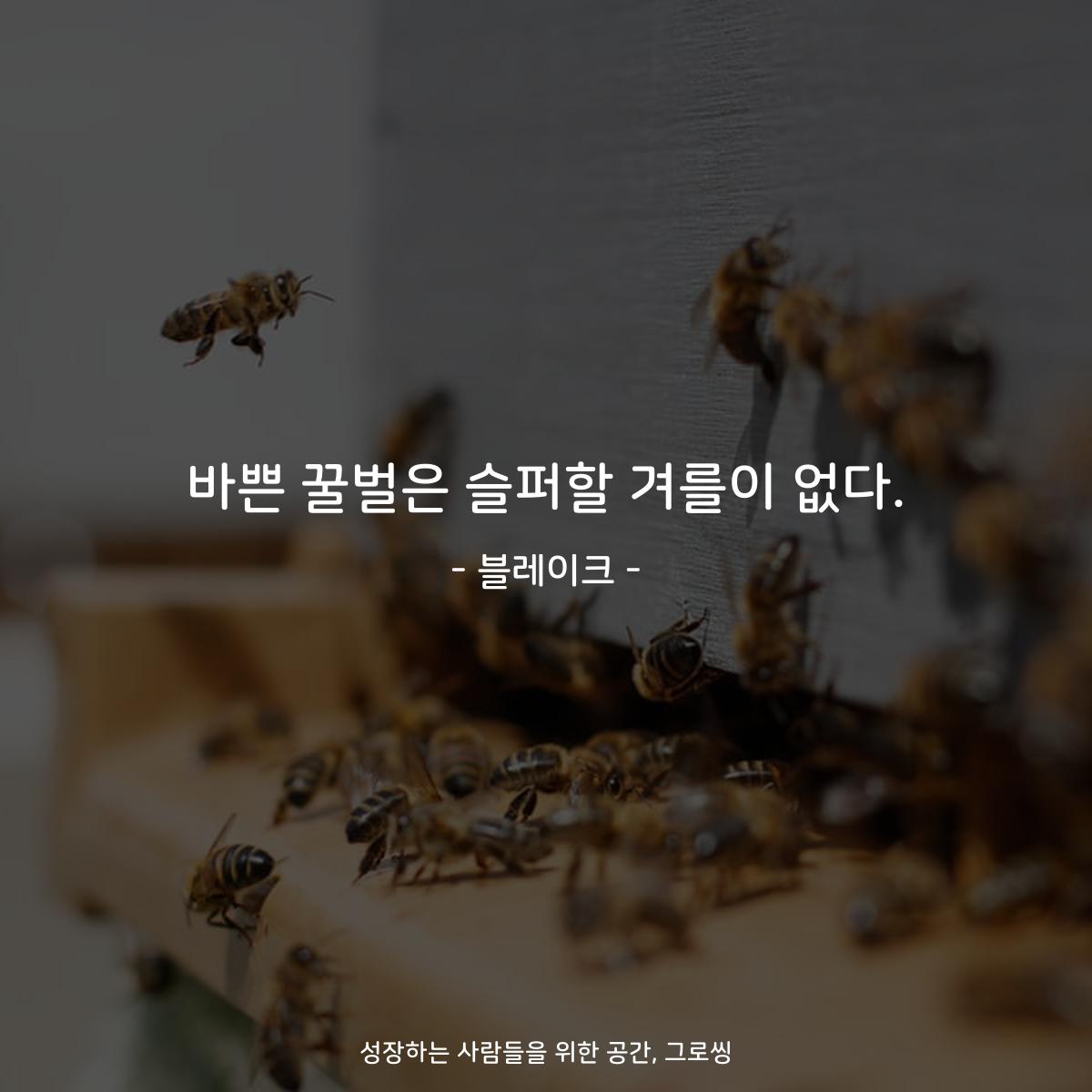 바쁜 꿀벌은 슬퍼할 겨를이 없다. - 블레이크