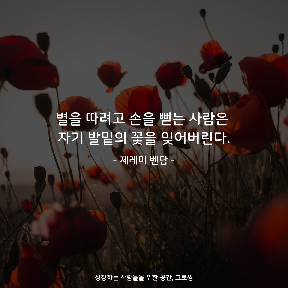별을 따려고 손을 뻗는 사람은 자기 발밑의 꽃을 잊어버린다. - 제레미 벤담