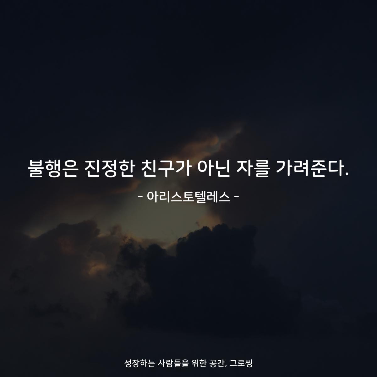 불행은 진정한 친구가 아닌 자를 가려준다. - 아리스토텔레스