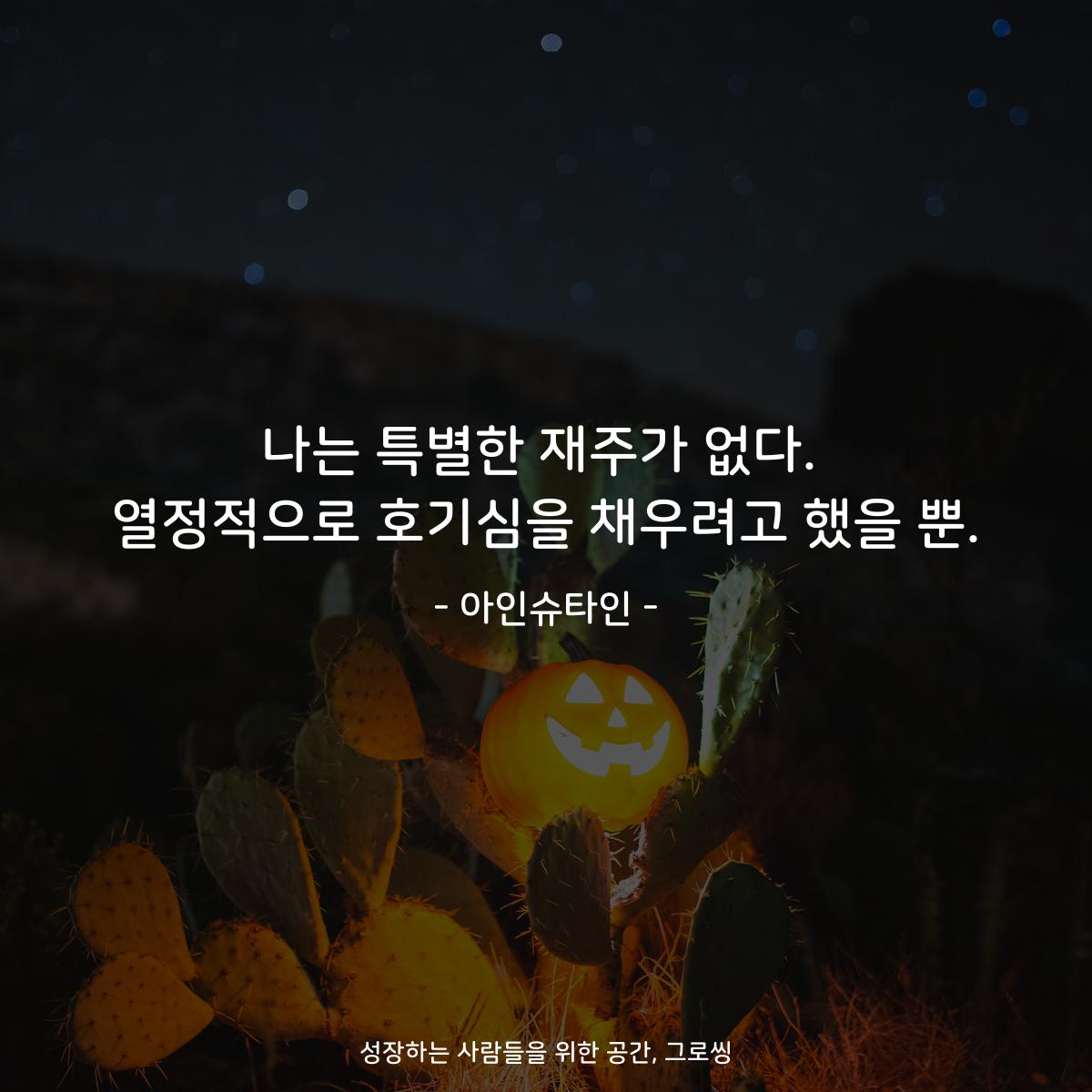 나는 특별한 재주가 없다. 열정적으로 호기심을 채우려고 했을 뿐. - 아인슈타인