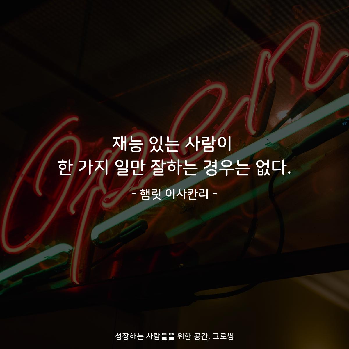 재능 있는 사람이 한 가지 일만 잘하는 경우는 없다. - 햄릿 이사칸리