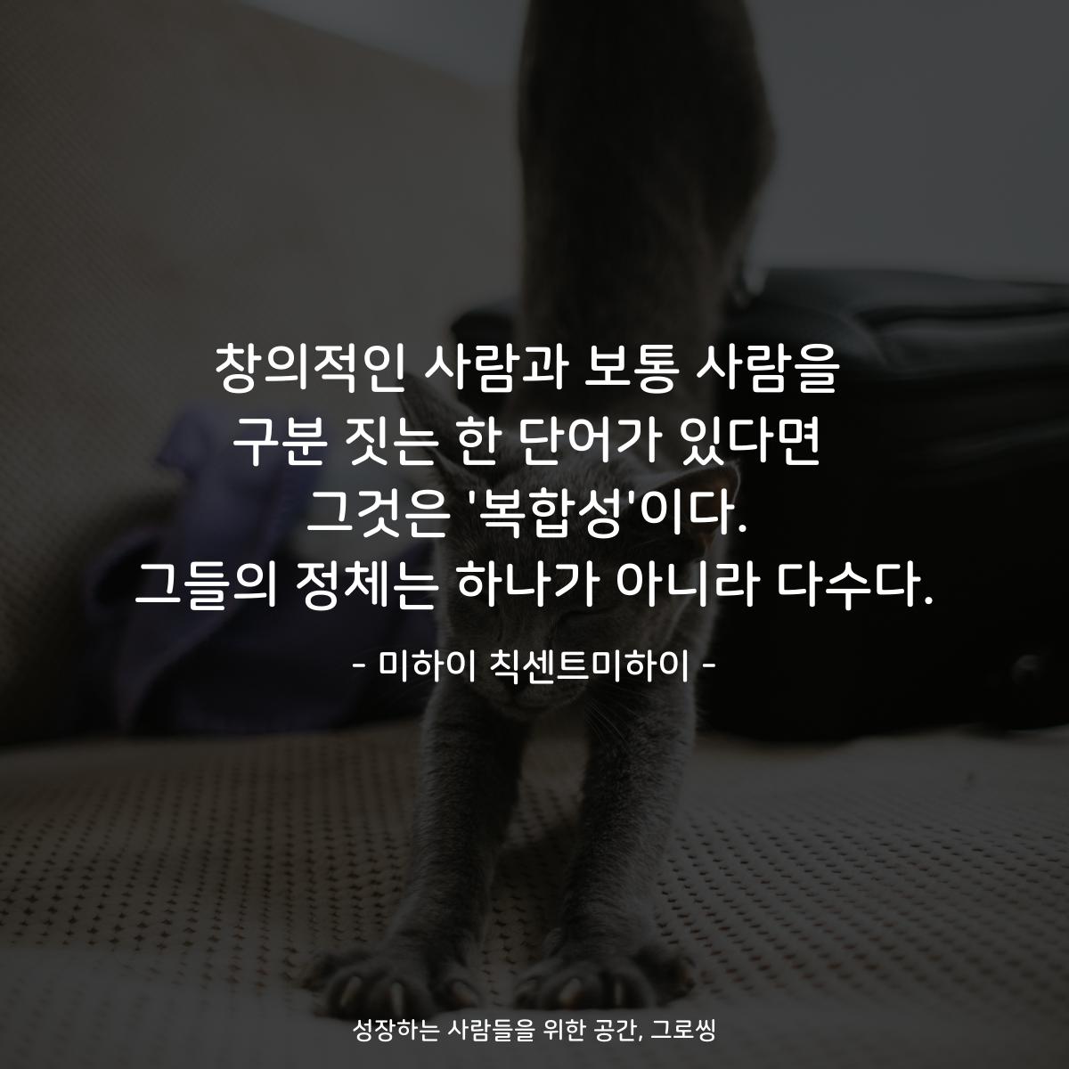 창의적인 사람과 보통 사람을 구분 짓는 한 단어가 있다면 그것은 '복합성'이다. 그들의 정체는 하나가 아니라 다수다. - 미하이 칙센트미하이