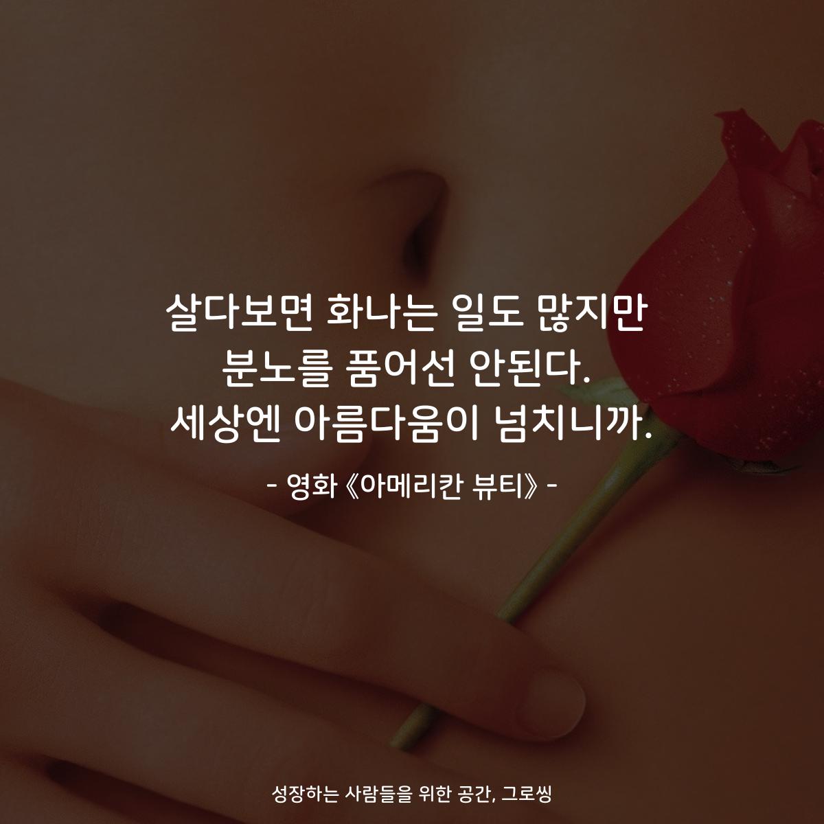 살다보면 화나는 일도 많지만 분노를 품어선 안된다. 세상엔 아름다움이 넘치니까. - 영화 《아메리칸 뷰티》