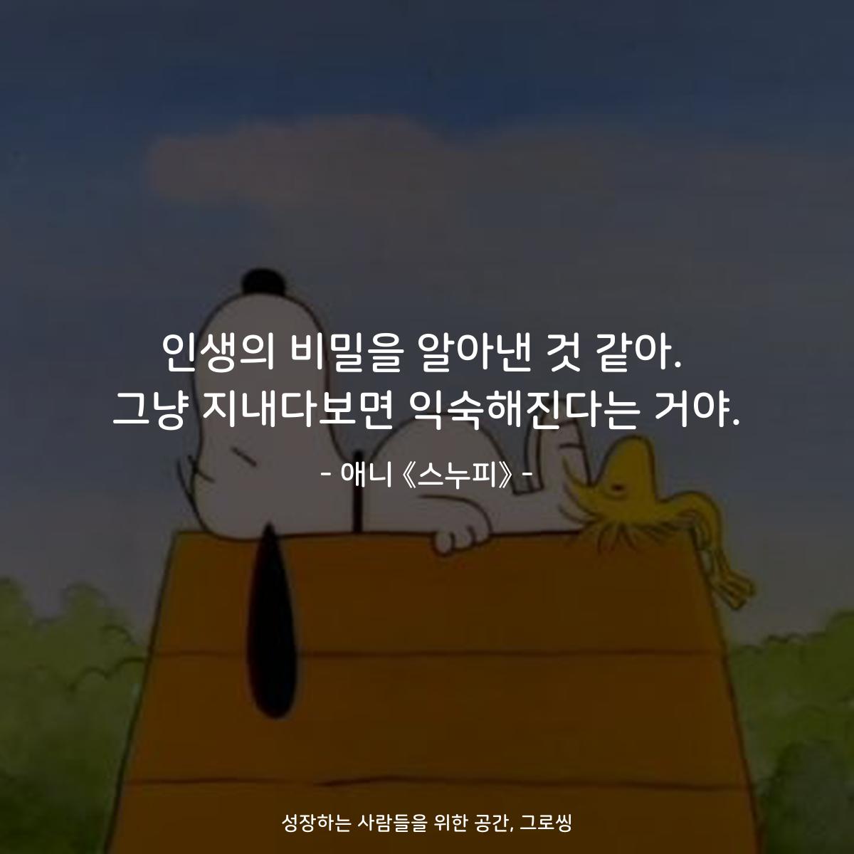 인생의 비밀을 알아낸 것 같아. 그냥 지내다보면 익숙해진다는 거야. - 애니 《스누피》