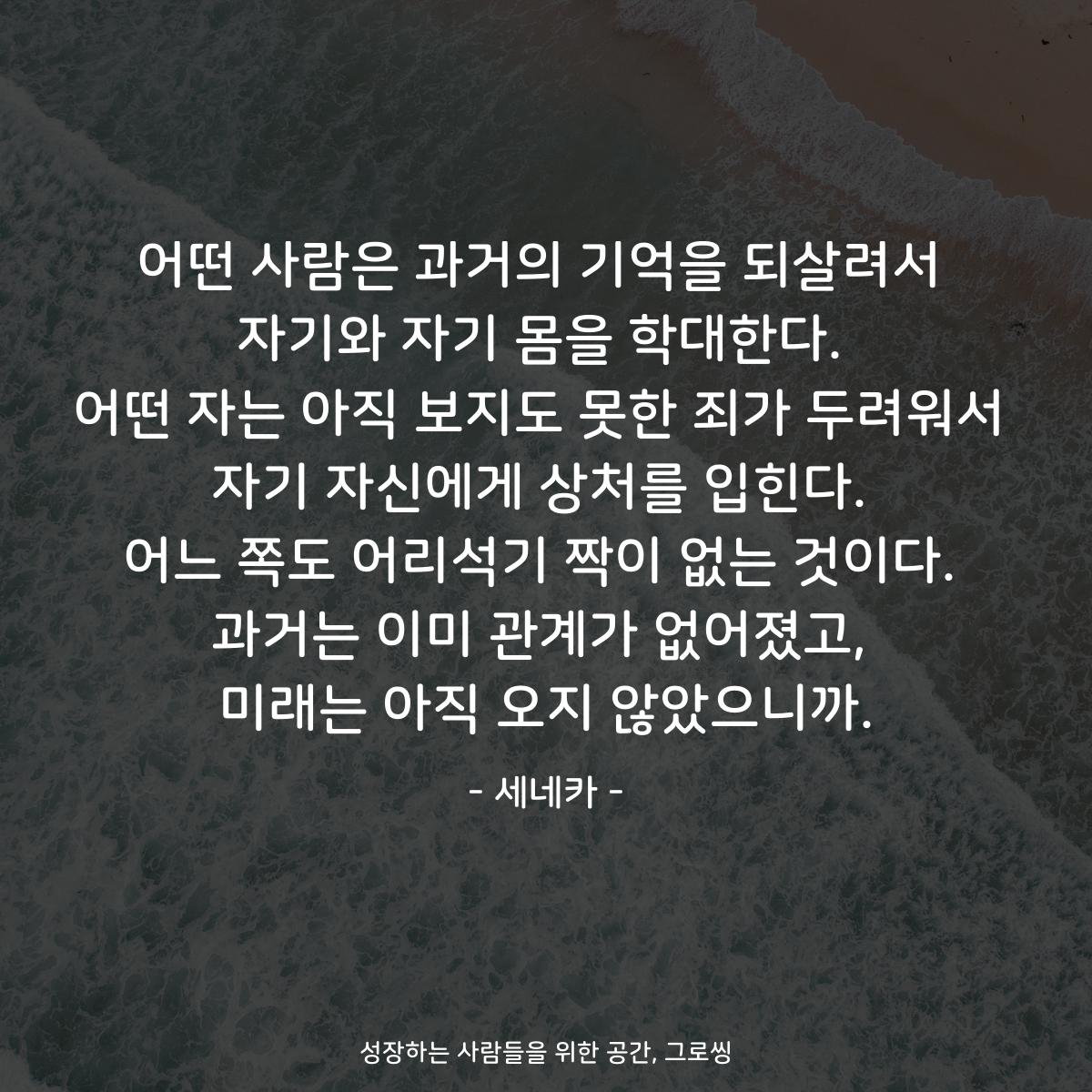어떤 사람은 과거의 기억을 되살려서 자기와 자기 몸을 학대한다. 어떤 자는 아직 보지도 못한 죄가 두려워서 자기 자신에게 상처를 입힌다. 어느 쪽도 어리석기 짝이 없는 것이다. 과거는 이미 관계가 없어졌고, 미래는 아직 오지 않았으니까. - 세네카