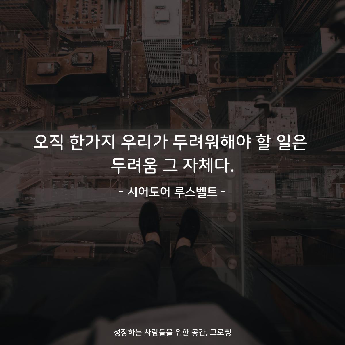 오직 한가지 우리가 두려워해야 할 일은 두려움 그 자체다. - 시어도어 루스벨트