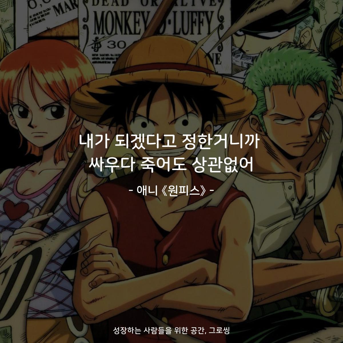 내가 되겠다고 정한거니까, 싸우다 죽어도 상관없어. - 애니 《원피스》