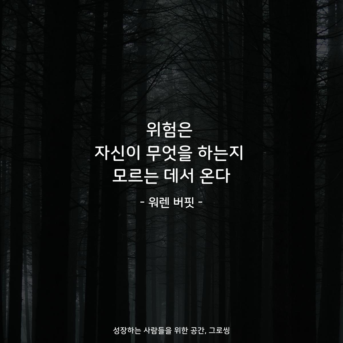 위험은 자신이 무엇을 하는지 모르는 데서 온다 - 워렌 버핏