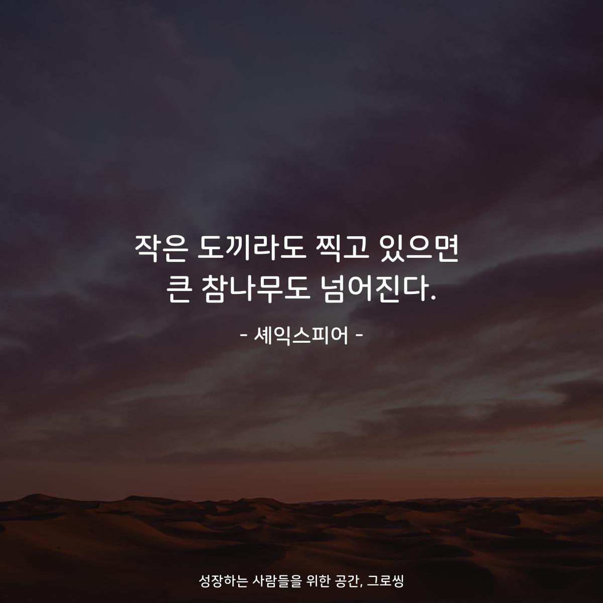 작은 도끼라도 찍고 있으면 큰 참나무도 넘어진다. - 셰익스피어