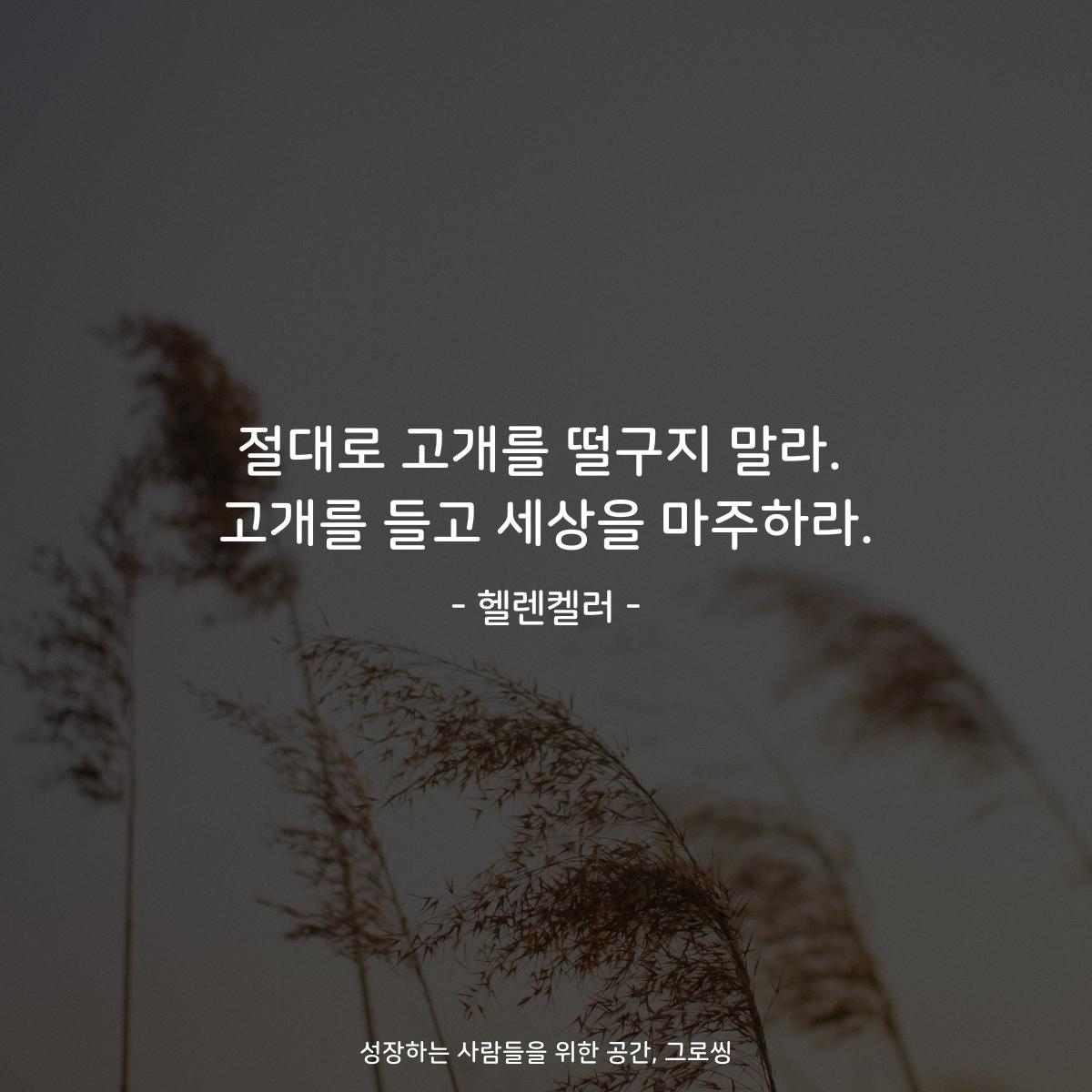 절대로 고개를 떨구지 말라. 고개를 들고 세상을 마주하라. - 헬렌켈러