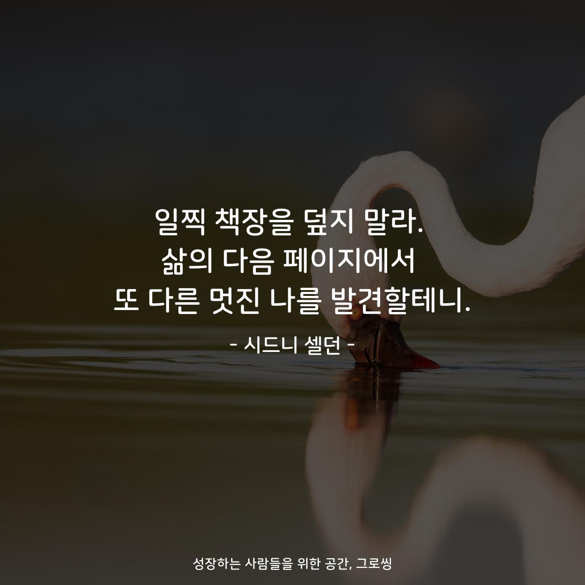 일찍 책장을 덮지 말라. 삶의 다음 페이지에서 또 다른 멋진 나를 발견할테니. - 시드니 셀던
