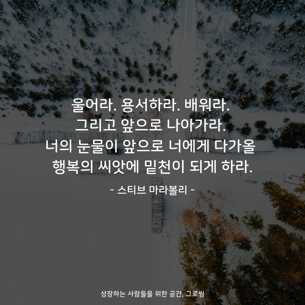 울어라. 용서하라. 배워라. 그리고 앞으로 나아가라. 너의 눈물이 앞으로 너에게 다가올 행복의 씨앗에 밑천이 되게 하라. - 스티브 마라볼리
