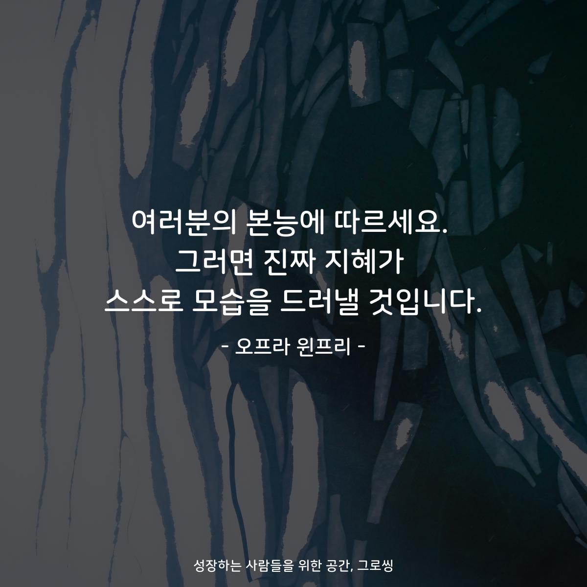 여러분의 본능에 따르세요. 그러면 진짜 지혜가 스스로 모습을 드러낼 것입니다. - 오프라 윈프리