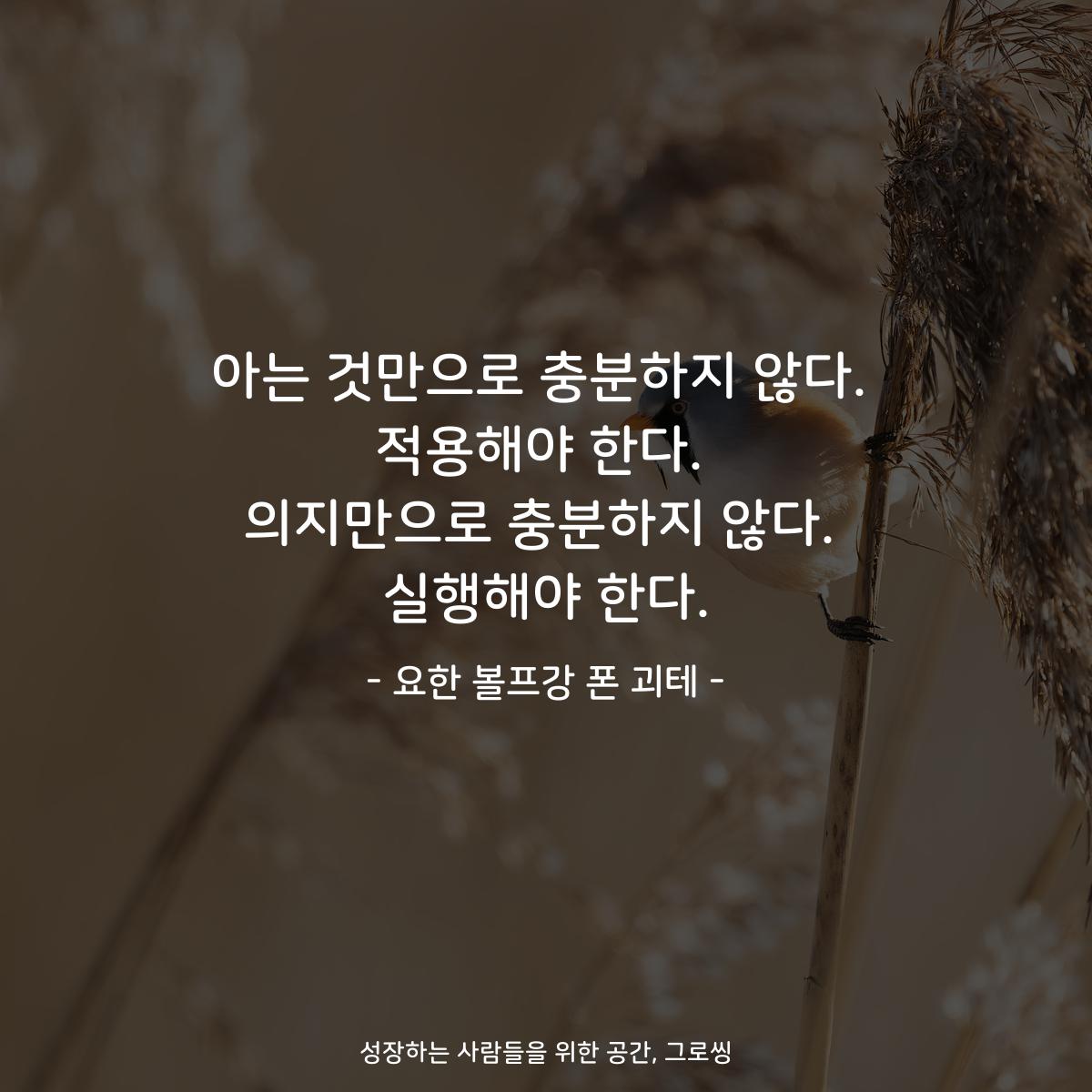 아는 것만으로 충분하지 않다. 적용해야 한다. 의지만으로 충분하지 않다. 실행해야 한다. - 요한 볼프강 폰 괴테
