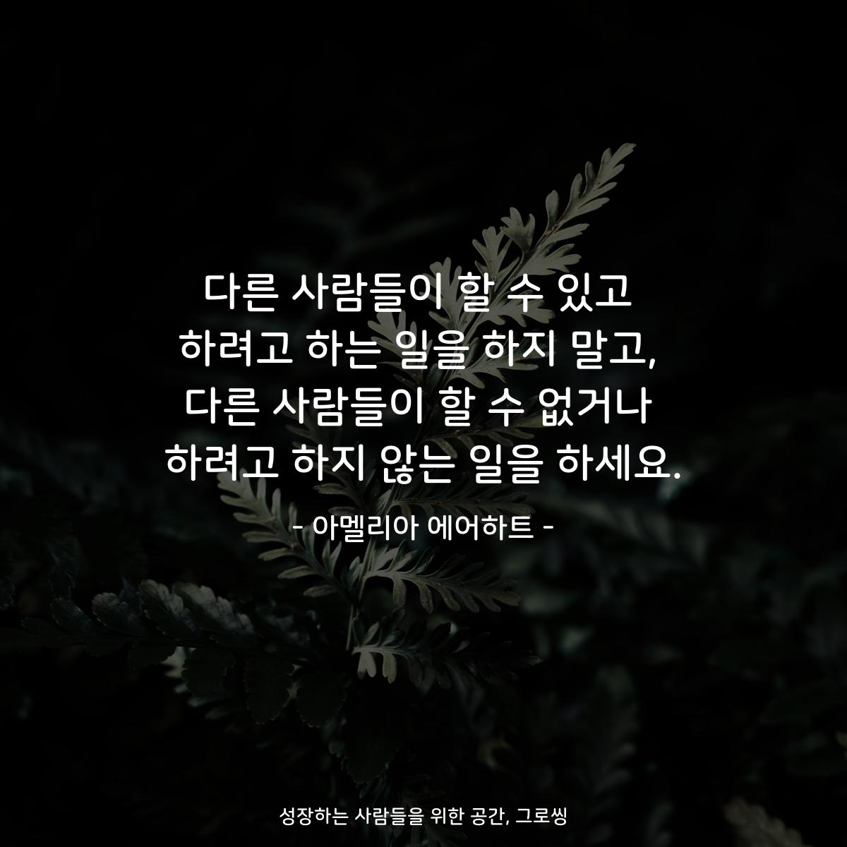 다른 사람들이 할 수 있고 하려고 하는 일을 하지 말고, 다른 사람들이 할 수 없거나 하려고 하지 않는 일을 하세요. - 아멜리아 에어하트