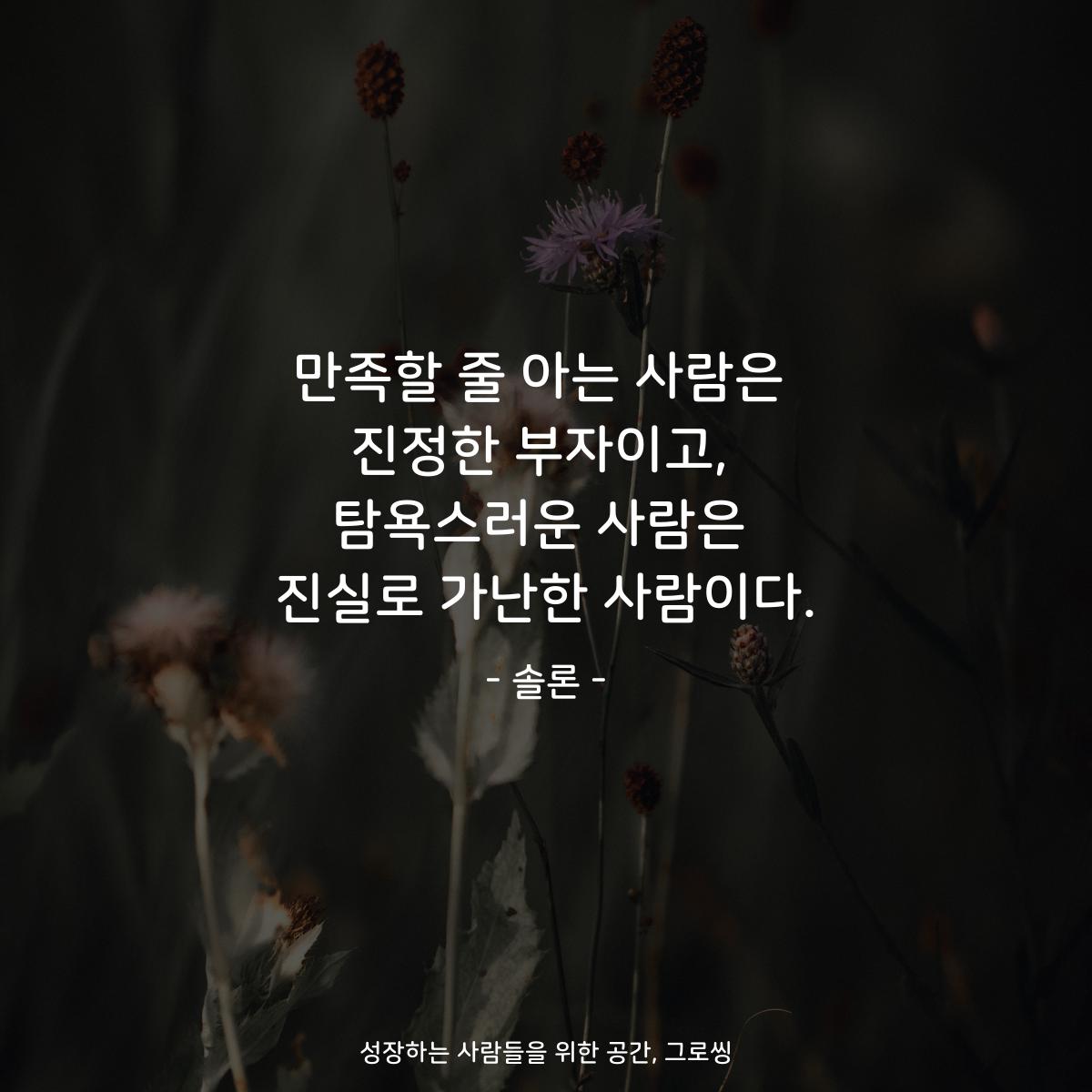 만족할 줄 아는 사람은 진정한 부자이고, 탐욕스러운 사람은 진실로 가난한 사람이다. - 솔론