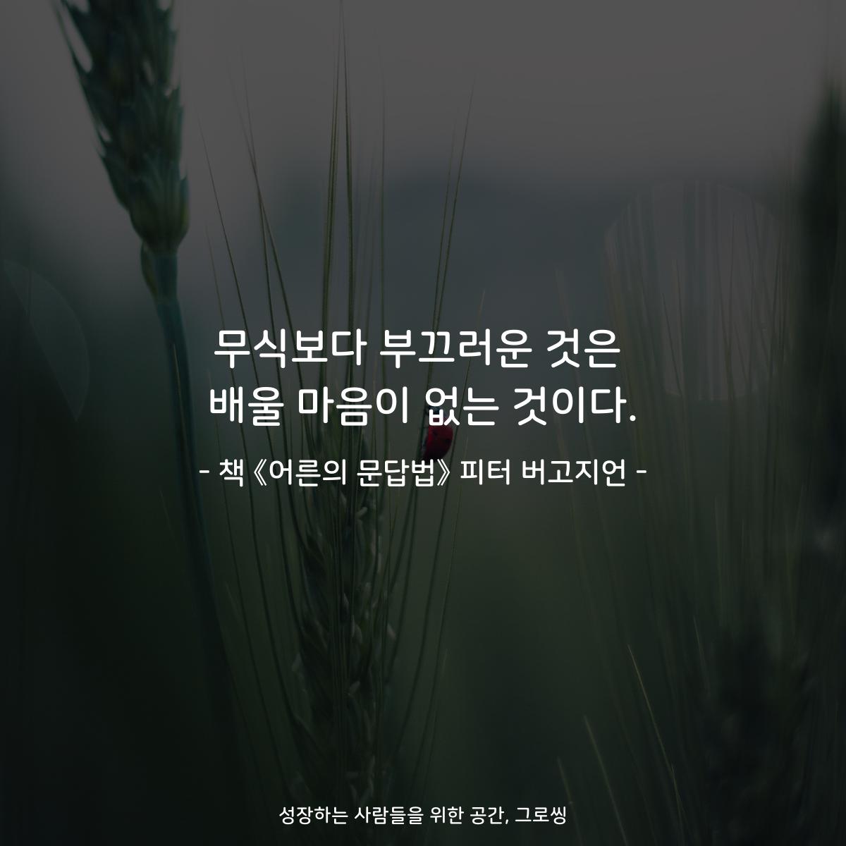 무식보다 부끄러운 것은 배울 마음이 없는 것이다. - 책 《어른의 문답법》 피터 버고지언