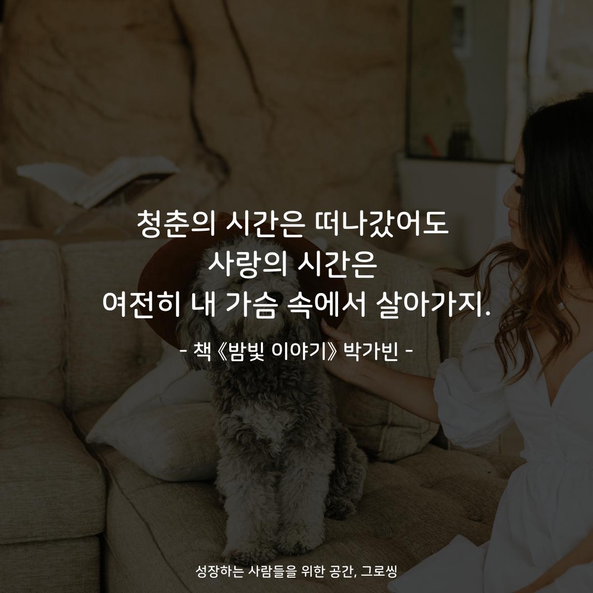 청춘의 시간은 떠나갔어도 사랑의 시간은 여전히 내 가슴 속에서 살아가지. - 책 《밤빛 이야기》 박가빈