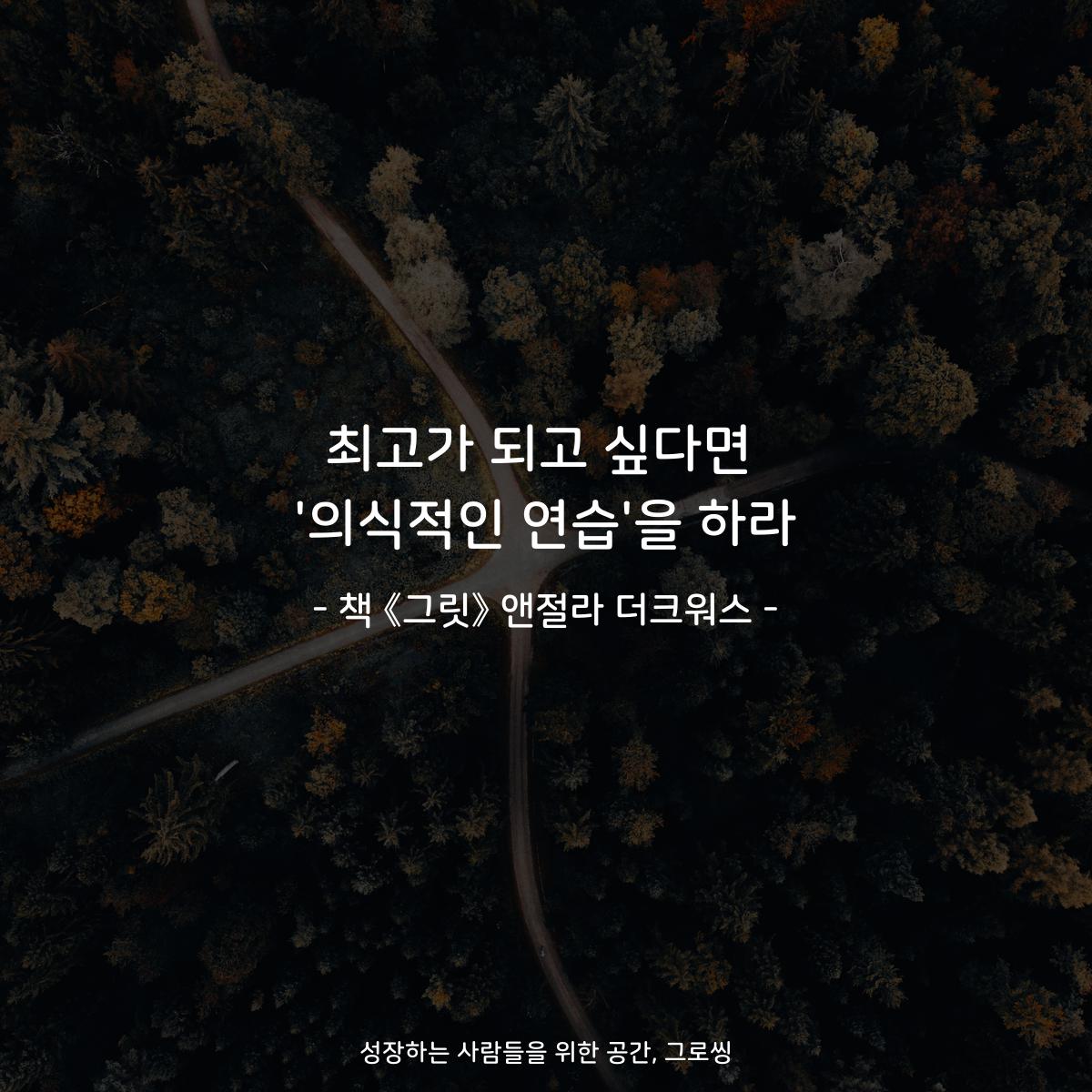 최고가 되고 싶다면 '의식적인 연습'을 하라 - 책 《그릿》 앤절라 더크워스