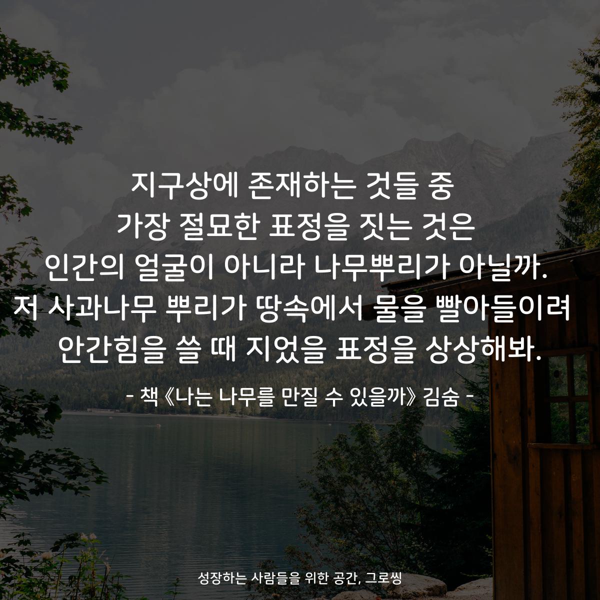 지구상에 존재하는 것들 중  가장 절묘한 표정을 짓는 것은 인간의 얼굴이 아니라 나무뿌리가 아닐까. 저 사과나무 뿌리가 땅속에서 물을 빨아들이려  안간힘을 쓸 때 지었을 표정을 상상해봐. - 책 《나는 나무를 만질 수 있을까》 김숨