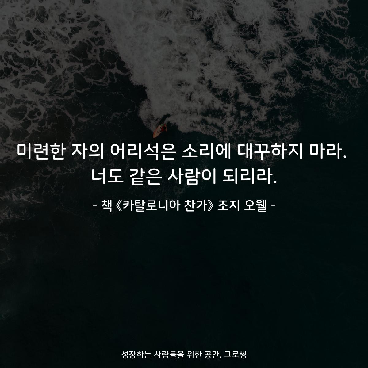 미련한 자의 어리석은 소리에 대꾸하지 마라. 너도 같은 사람이 되리라. - 책 《카탈로니아 찬가》 조지 오웰