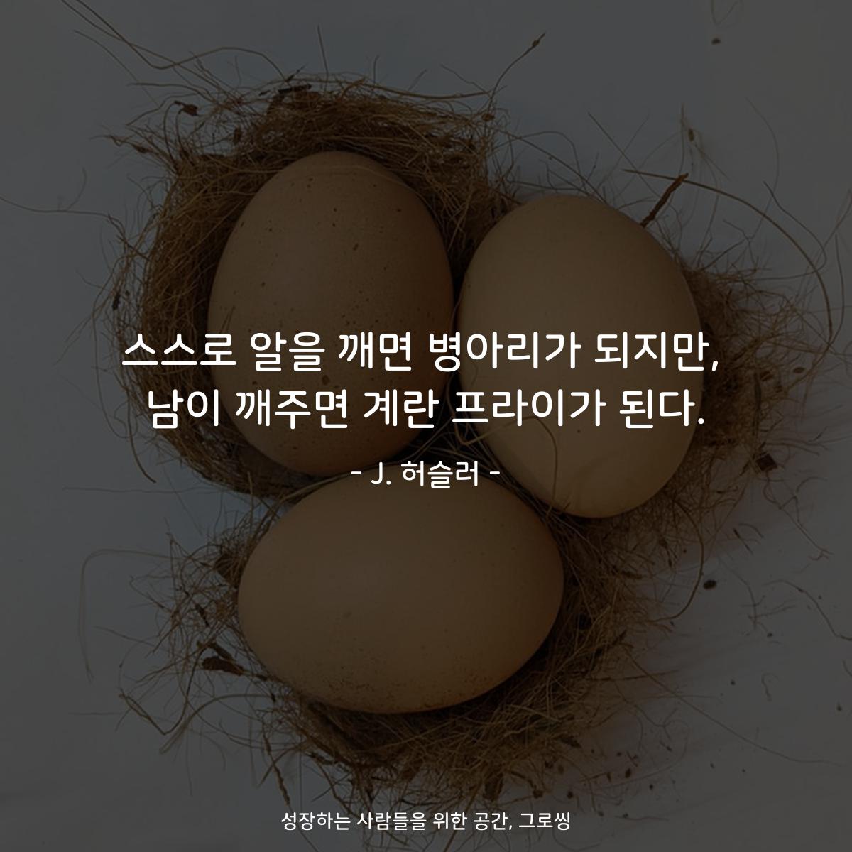 스스로 알을 깨면 병아리가 되지만, 남이 깨주면 계란 프라이가 된다. - J. 허슬러