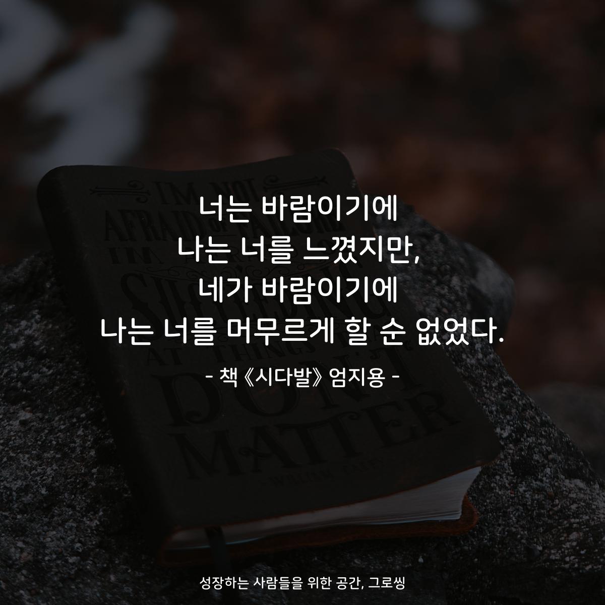 너는 바람이기에 나는 너를 느꼈지만, 네가 바람이기에 나는 너를 머무르게 할 순 없었다. - 책 《시다발》 엄지용