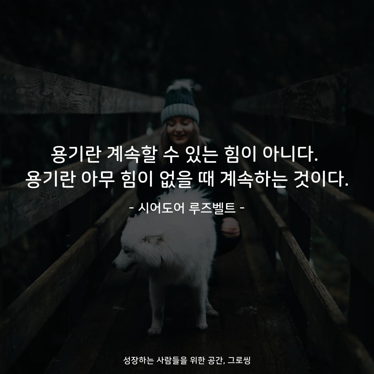 용기란 계속할 수 있는 힘이 아니다. 용기란 아무 힘이 없을 때 계속하는 것이다. - 시어도어 루즈벨트