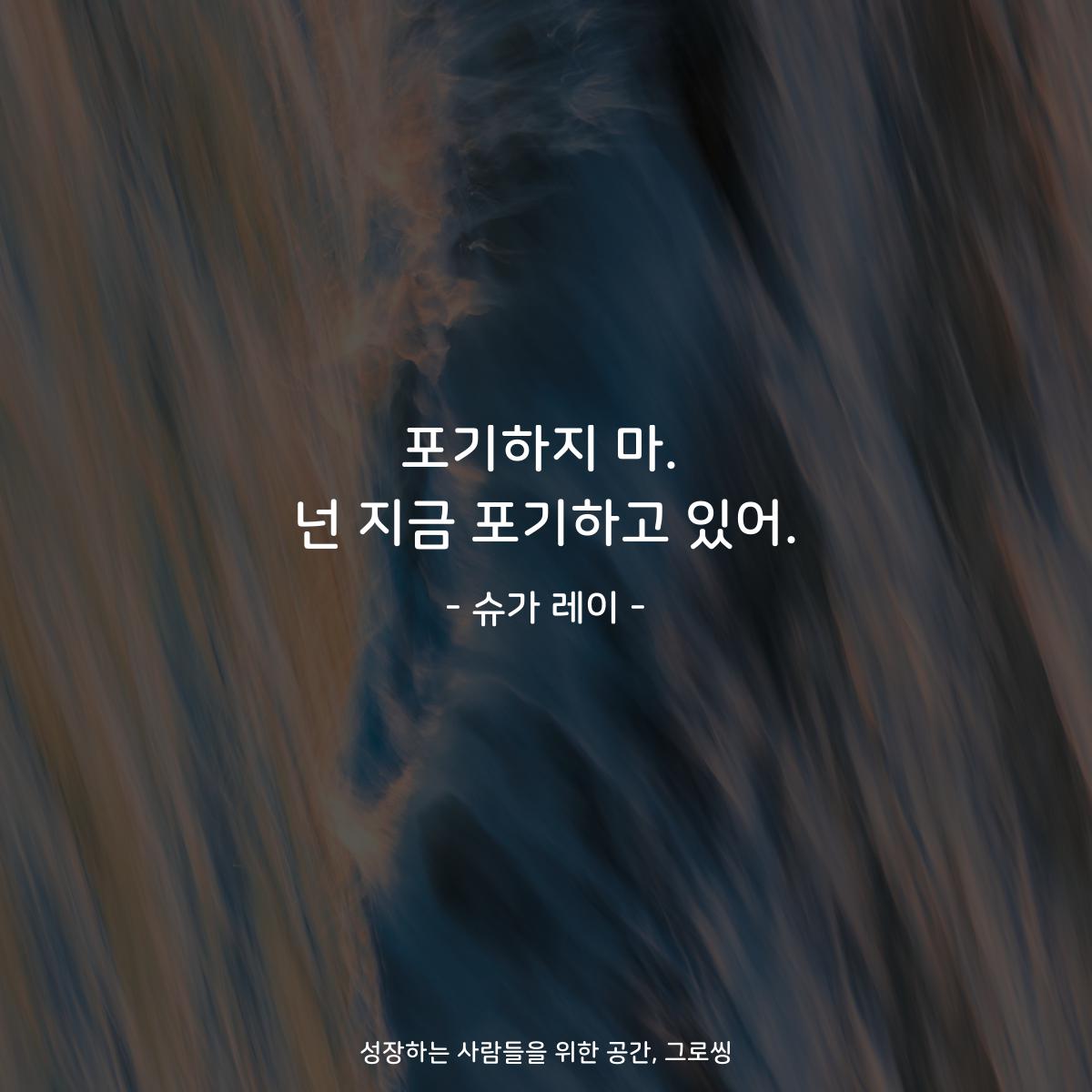 포기하지 마. 넌 지금 포기하고 있어. - 슈가 레이