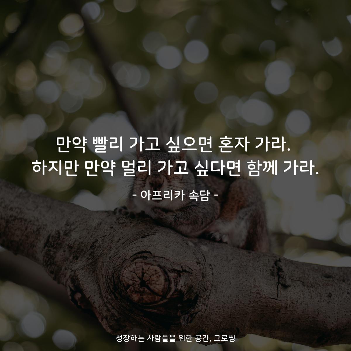 만약 빨리 가고 싶으면 혼자 가라. 하지만 만약 멀리 가고 싶다면 함께 가라. - 아프리카 속담