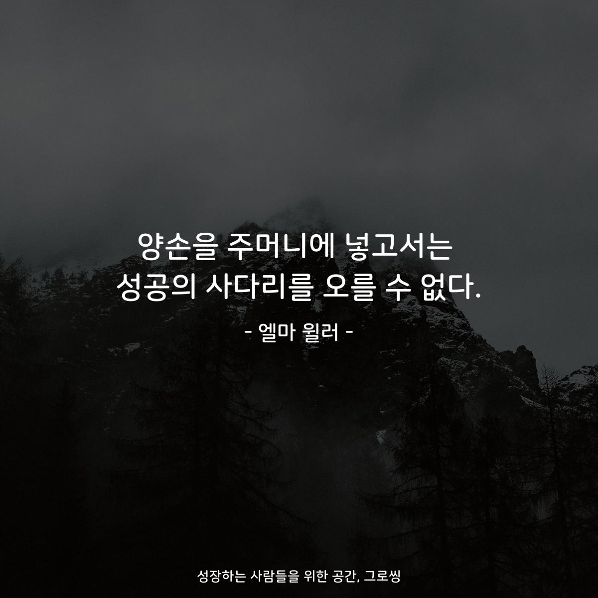 양손을 주머니에 넣고서는 성공의 사다리를 오를 수 없다. - 엘마 윌러