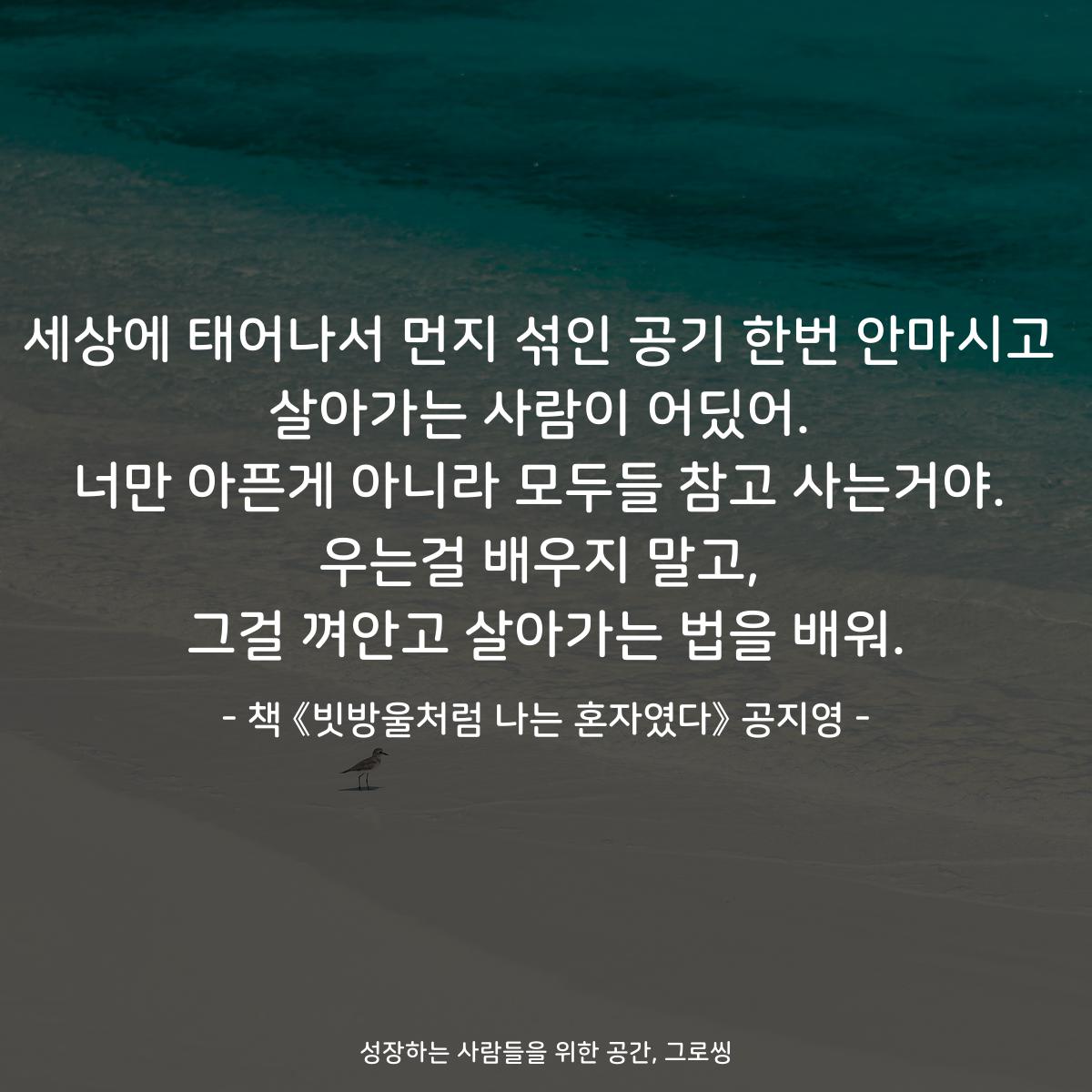 세상에 태어나서 먼지 섞인 공기 한번 안마시고 살아가는 사람이 어딨어. 너만 아픈게 아니라 모두들 참고 사는거야. 우는걸 배우지 말고, 그걸 껴안고 살아가는 법을 배워. - 책 《빗방울처럼 나는 혼자였다》 공지영
