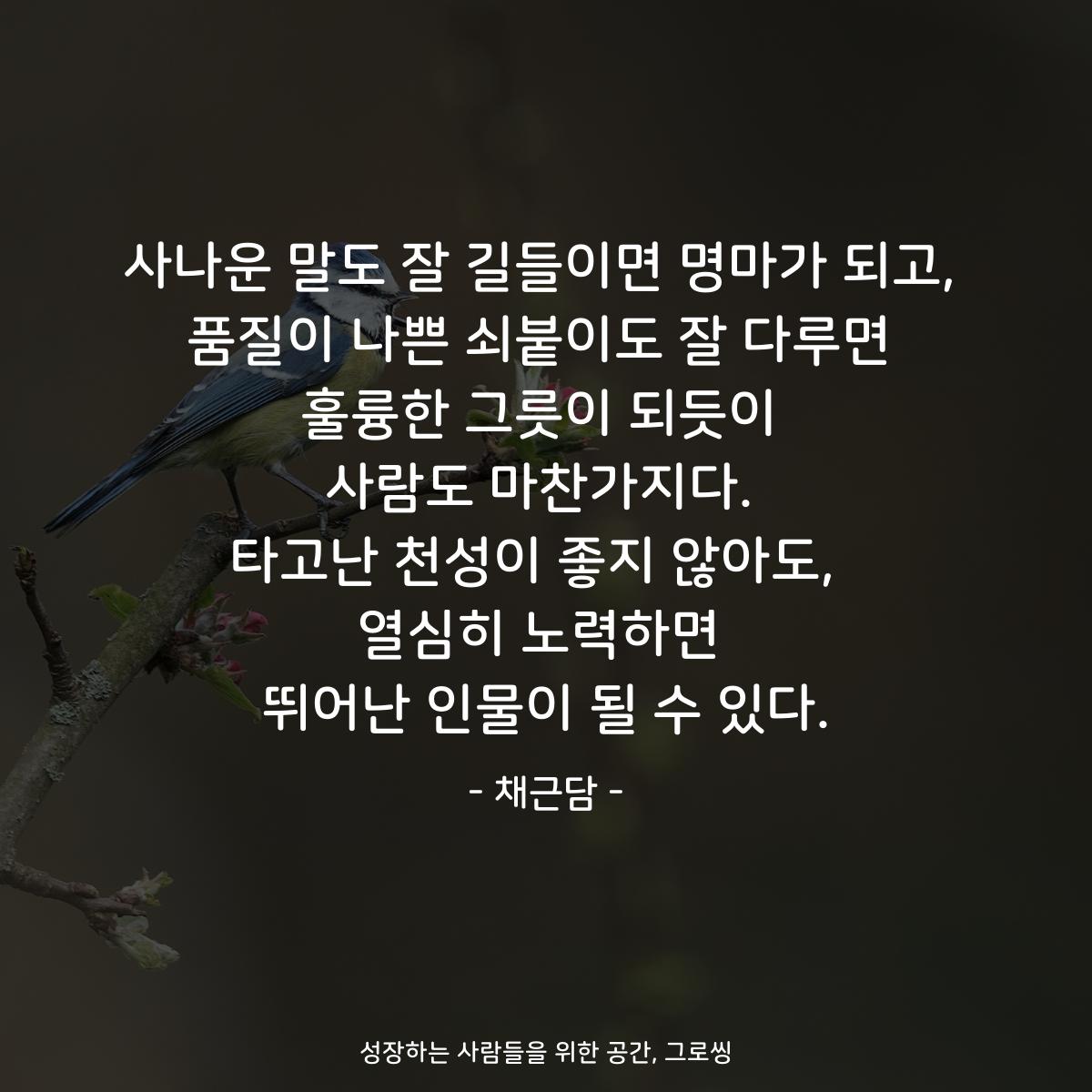 사나운 말도 잘 길들이면 명마가 되고, 품질이 나쁜 쇠붙이도 잘 다루면 훌륭한 그릇이 되듯이 사람도 마찬가지다. 타고난 천성이 좋지 않아도,  열심히 노력하면 뛰어난 인물이 될 수 있다. - 채근담