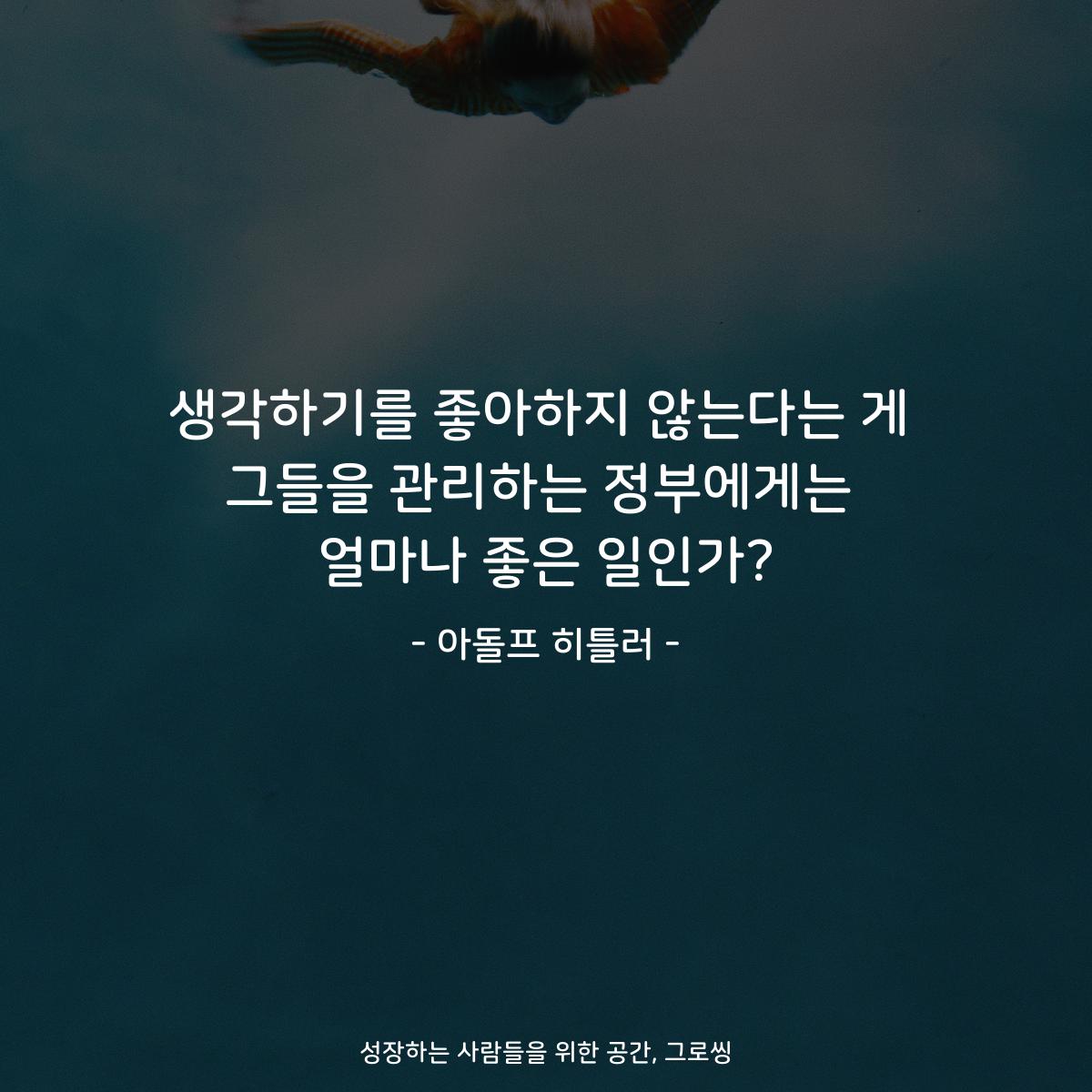 생각하기를 좋아하지 않는다는 게 그들을 관리하는 정부에게는 얼마나 좋은 일인가? - 아돌프 히틀러