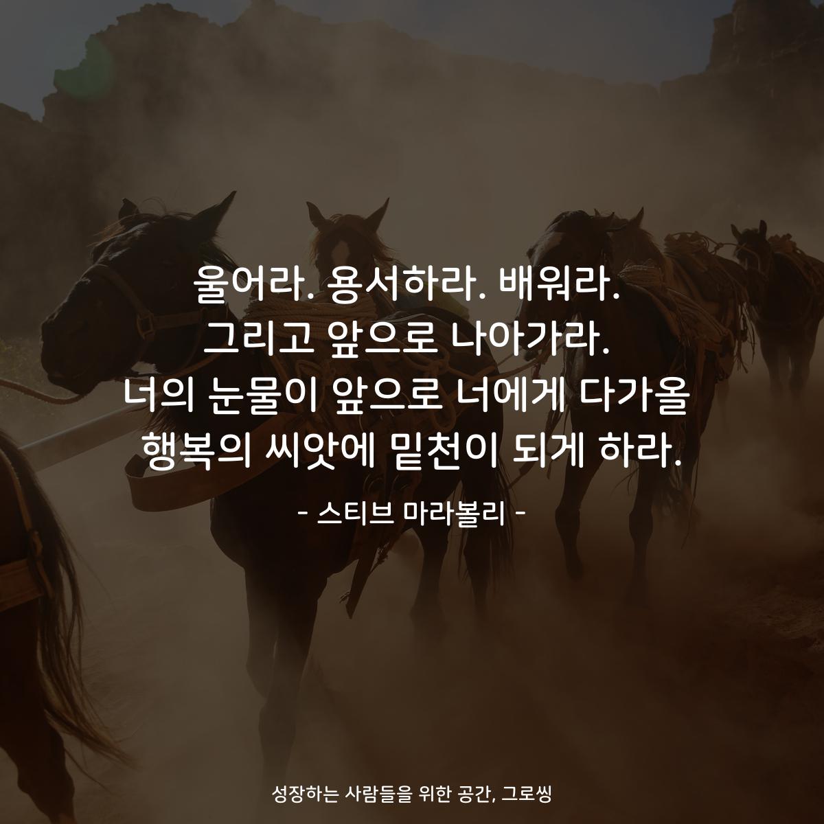 울어라. 용서하라. 배워라. 그리고 앞으로 나아가라. 너의 눈물이 앞으로 너에게 다가올 행복의 씨앗에 밑천이 되게 하라. - 스티브 마라볼리