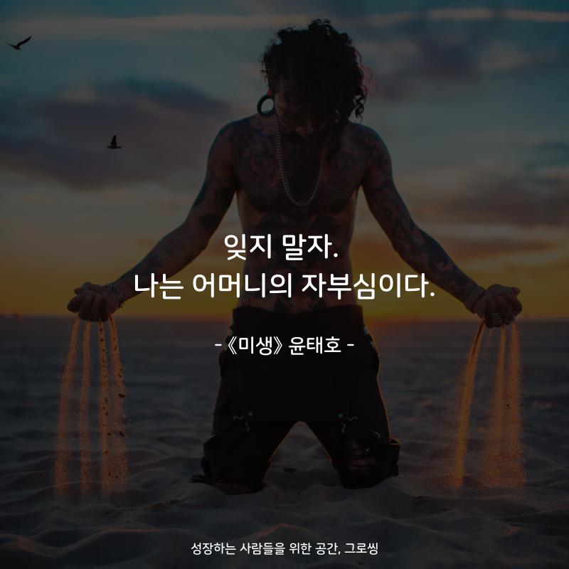 잊지 말자. 나는 어머니의 자부심이다. - 책 《미생》 윤태호