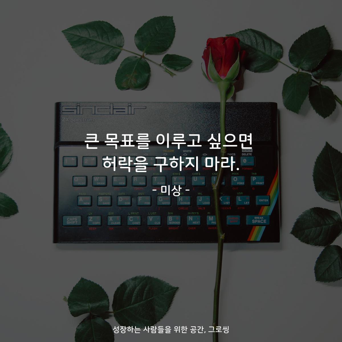 큰 목표를 이루고 싶으면 허락을 구하지 마라. - 미상