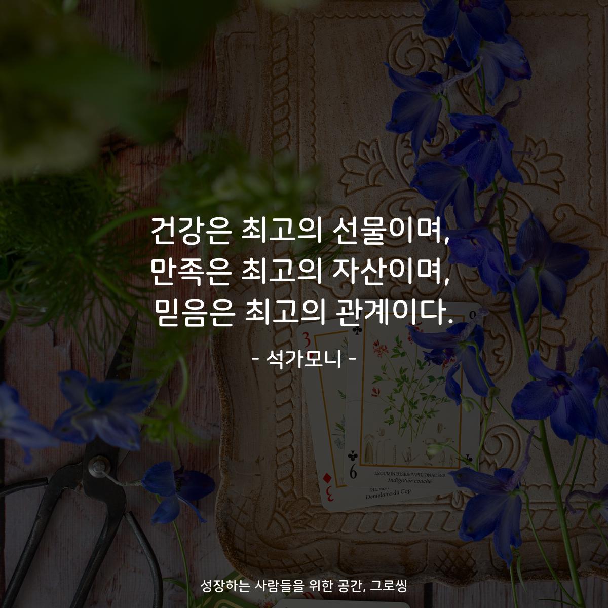 건강은 최고의 선물이며, 만족은 최고의 자산이며, 믿음은 최고의 관계이다. - 석가모니