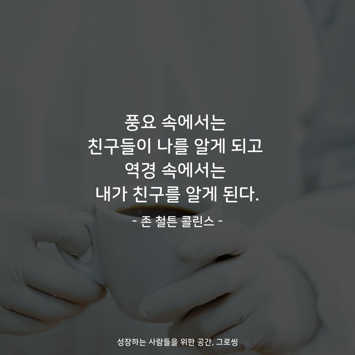 풍요 속에서는 친구들이 나를 알게 되고 역경 속에서는 내가 친구를 알게 된다. - 존 철튼 콜린스