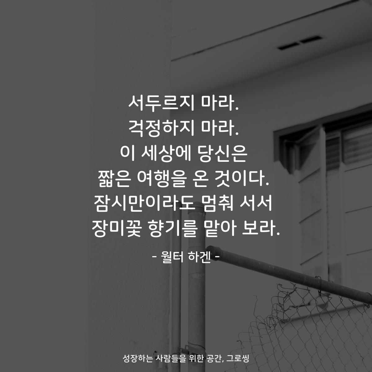 서두르지 마라. 걱정하지 마라. 이 세상에 당신은 짧은 여행을 온 것이다. 잠시만이라도 멈춰 서서 장미꽃 향기를 맡아 보라. - 월터 하겐