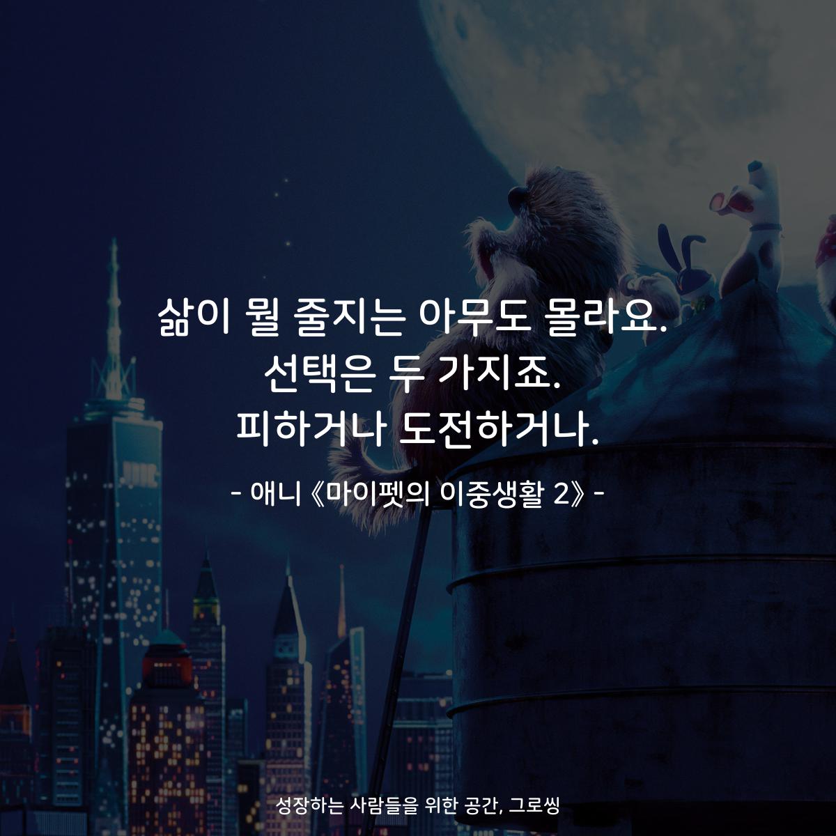 삶이 뭘 줄지는 아무도 몰라요. 선택은 두 가지죠. 피하거나 도전하거나. - 애니 《마이펫의 이중생활 2》