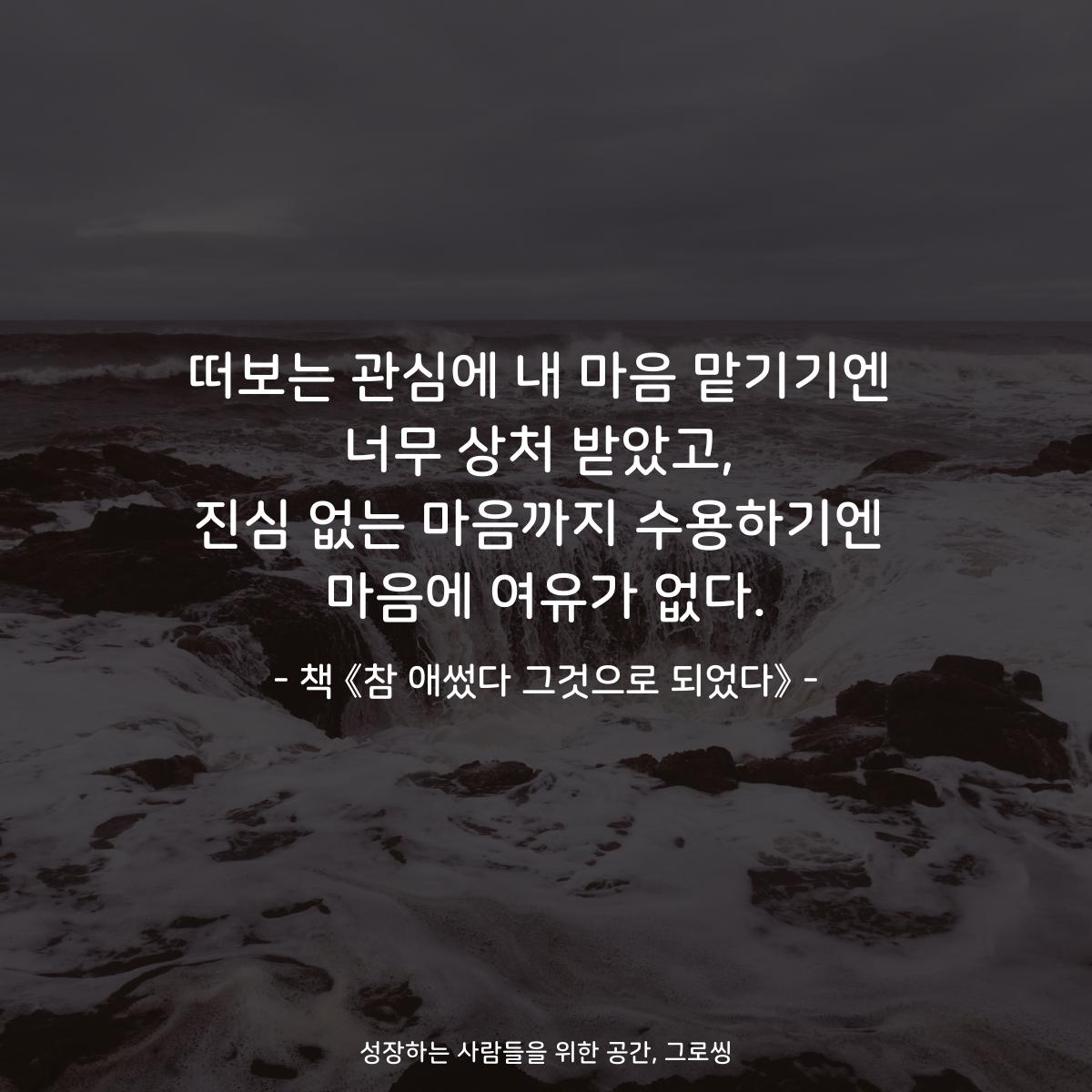 떠보는 관심에 내 마음 맡기기엔 너무 상처 받았고, 진심 없는 마음까지 수용하기엔 마음에 여유가 없다. - 책 《참 애썼다 그것으로 되었다》