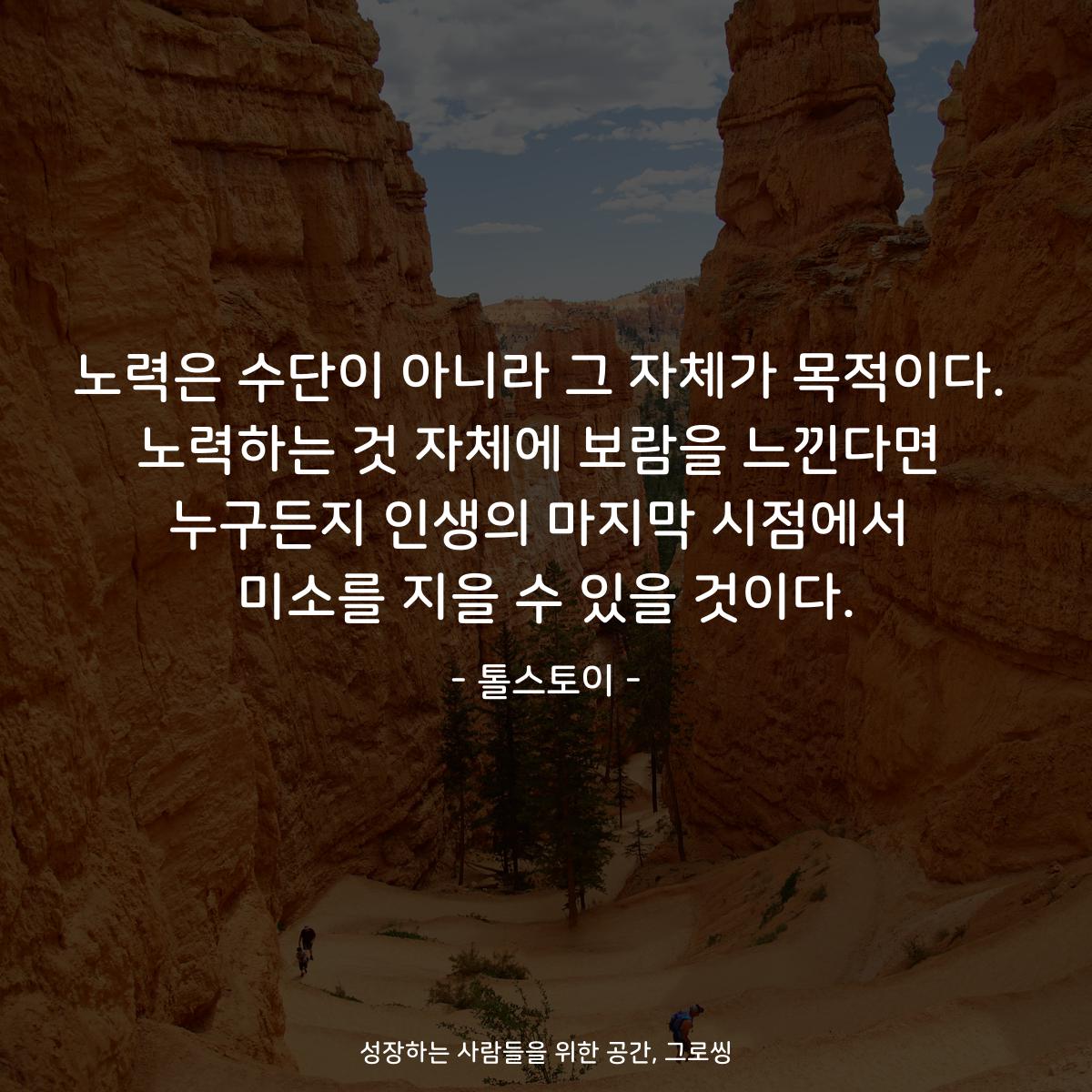 노력은 수단이 아니라 그 자체가 목적이다. 노력하는 것 자체에 보람을 느낀다면 누구든지 인생의 마지막 시점에서 미소를 지을 수 있을 것이다. - 톨스토이