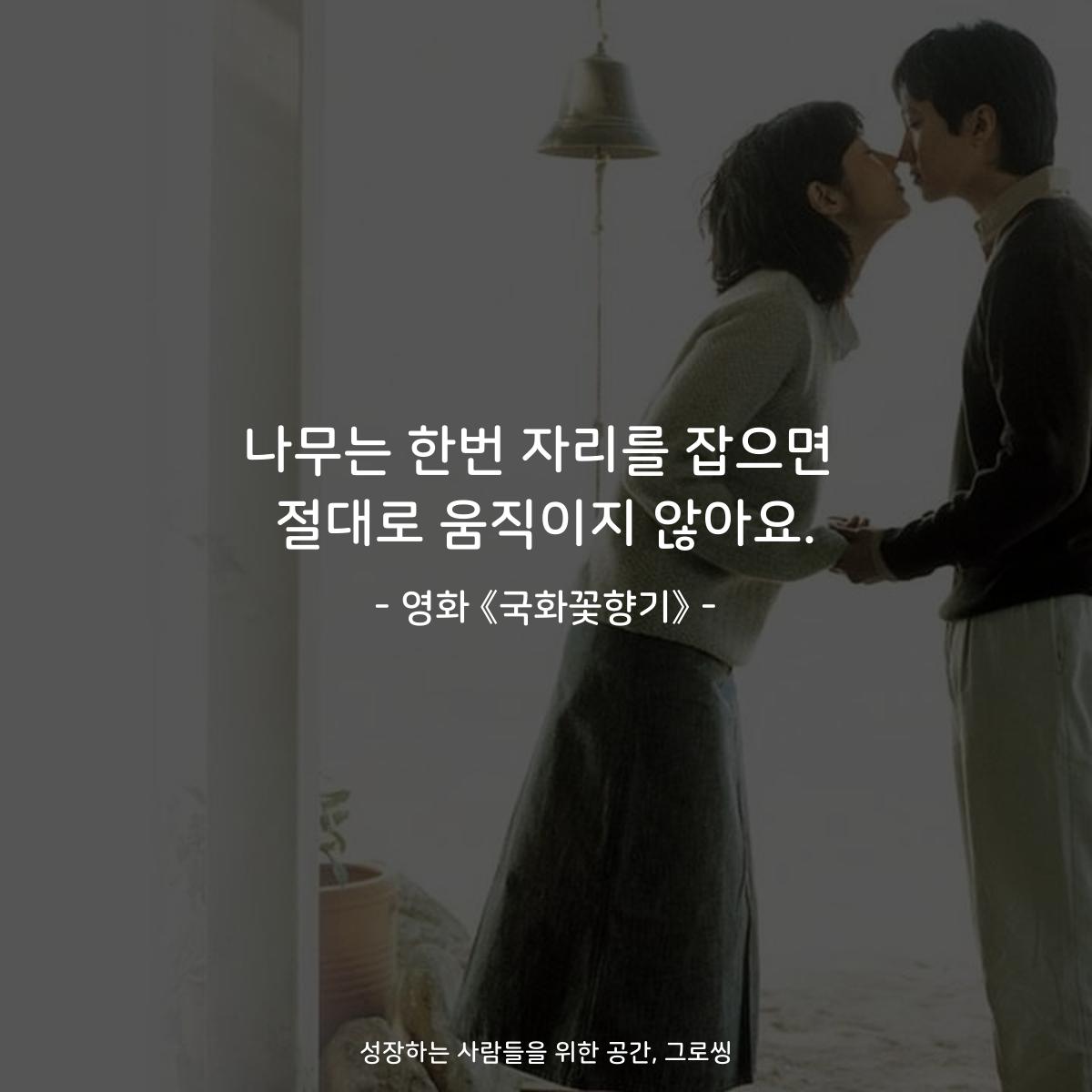 나무는 한번 자리를 잡으면 절대로 움직이지 않아요. - 영화 《국화꽃향기》