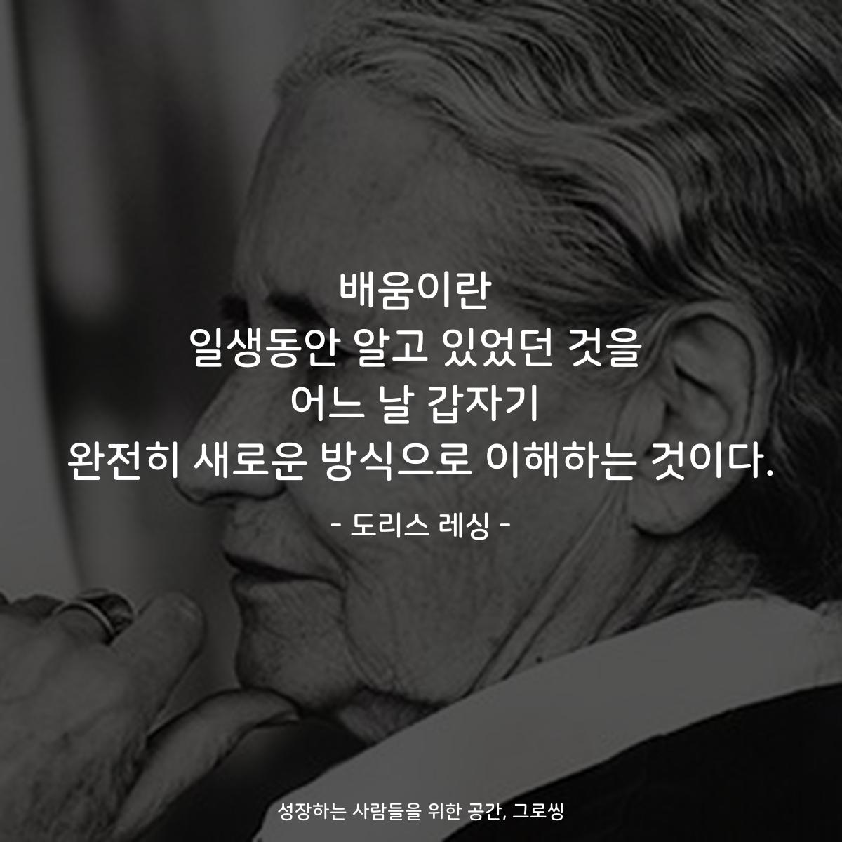 배움이란 일생동안 알고 있었던 것을 어느 날 갑자기 완전히 새로운 방식으로 이해하는 것이다. - 도리스 레싱