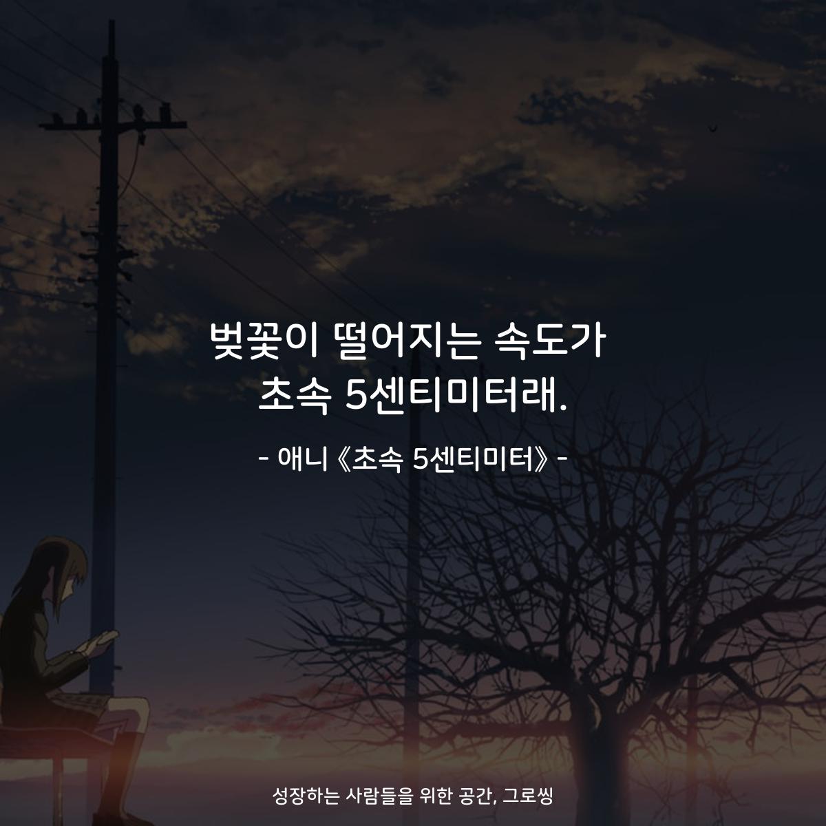 벚꽃이 떨어지는 속도가 초속 5센티미터래. - 애니 《초속 5센티미터》