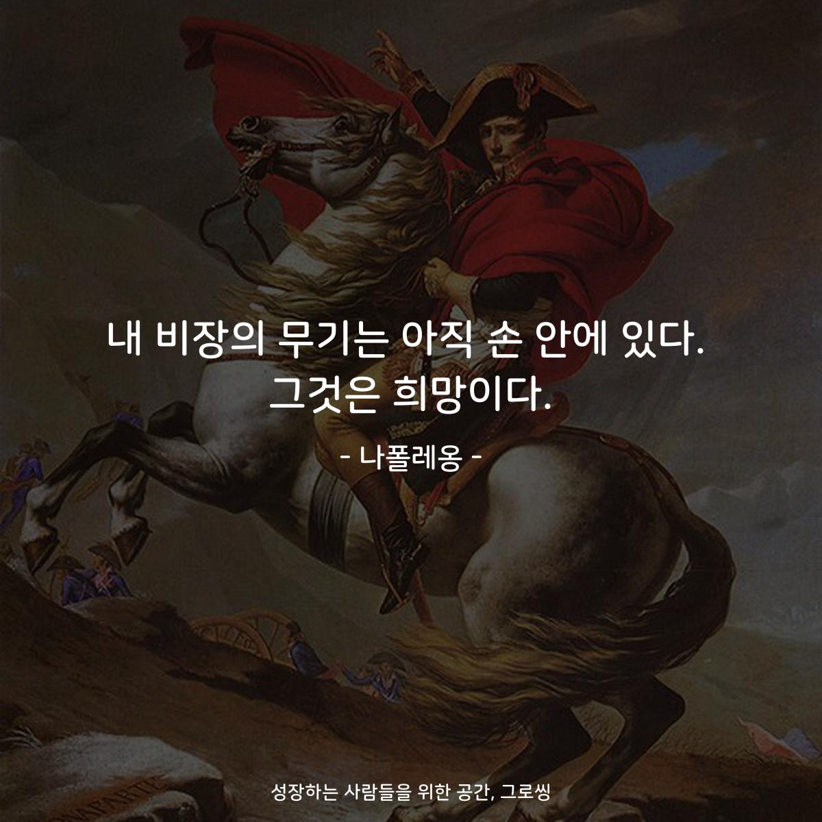 내 비장의 무기는 아직 손 안에 있다. 그것은 희망이다. - 나폴레옹