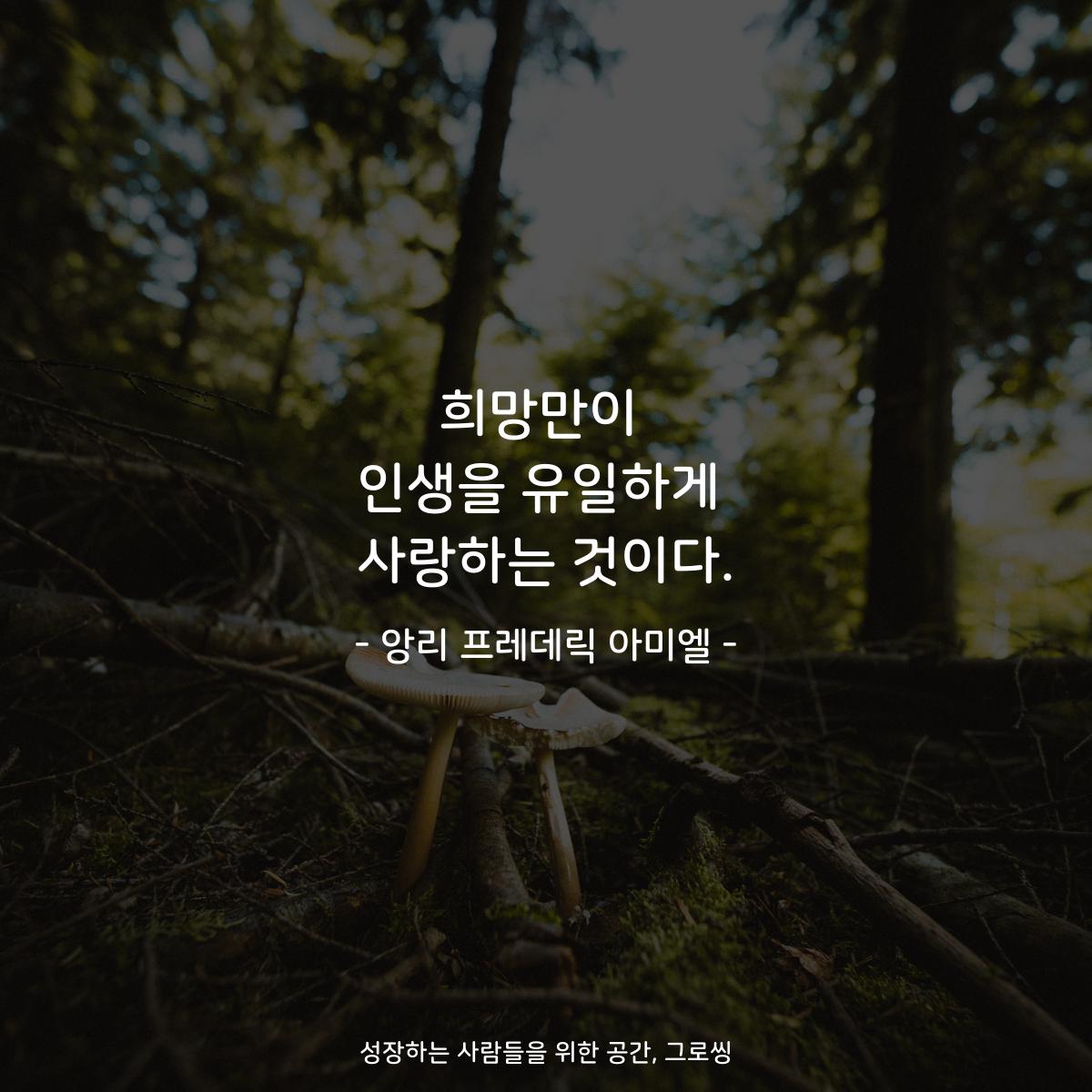 희망만이 인생을 유일하게 사랑하는 것이다. - 앙리 프레데릭 아미엘